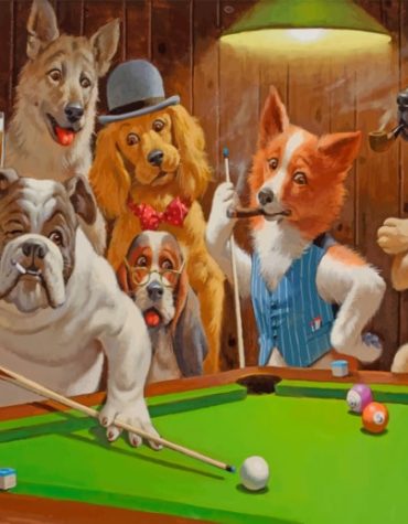 Poolside Dogs Fun Paint By Numbers