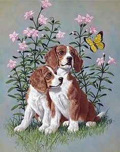Dogs and Butterflies Paint By Numbers