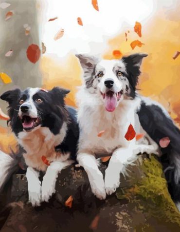 Autumn Dogs Delight Paint By Numbers