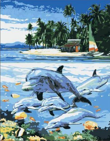 Dolphin Beach Scene Paint By Numbers
