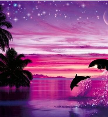 Dolphin Moonlit Scene Paint By Numbers