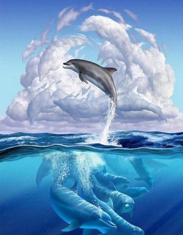 Dolphin Ocean Scene Paint By Numbers