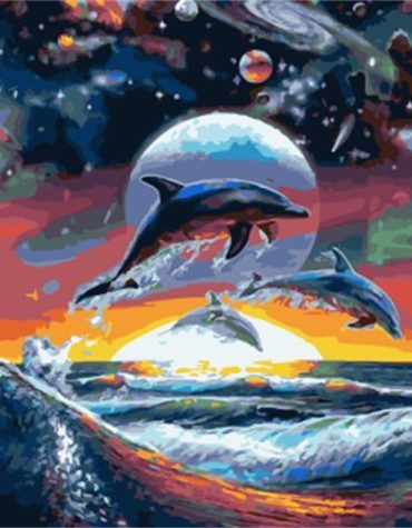 Dolphin Galaxy Adventure Paint By Numbers