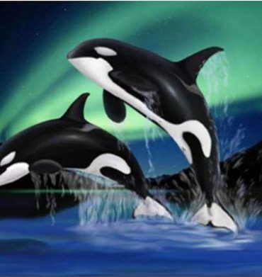 Dolphins Under Arctic Aurora Paint By Numbers