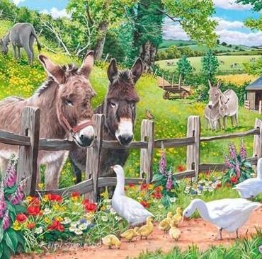 Countryside Donkey Painting Paint By Numbers