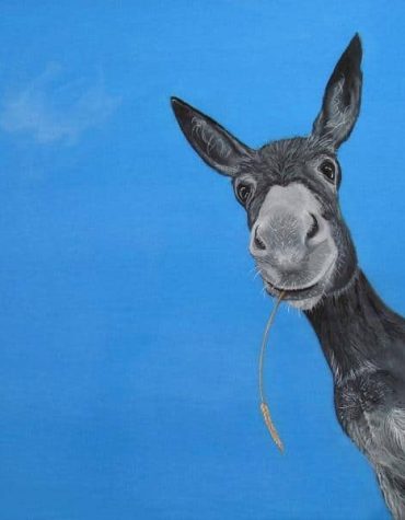 Charming Donkey Paint By Numbers