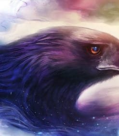 Majestic Eagle Eyes Paint By Numbers