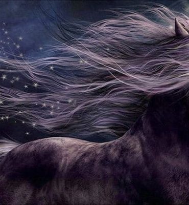 Dreamy Horses Paint By Numbers