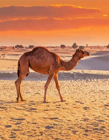 Golden Dubai Desert Camel Paint By Numbers