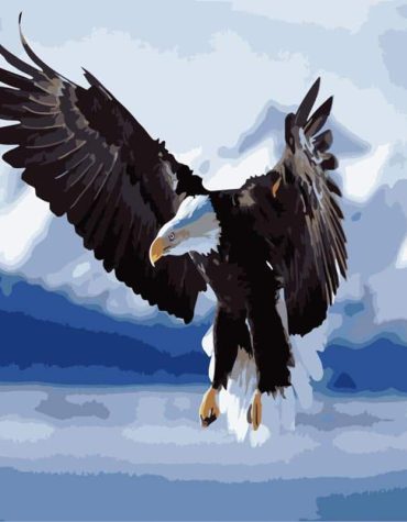 Eagle Wings Paint By Numbers Kit