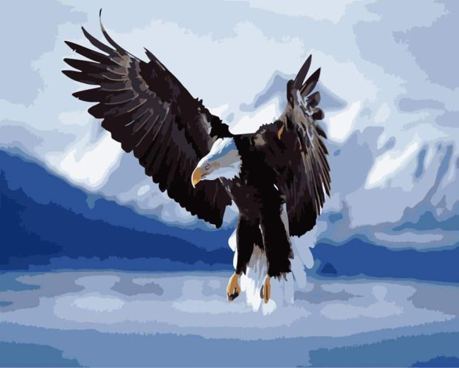 Eagle Wings Paint By Numbers Kit