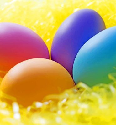 Colorful Easter Animals Paint By Numbers