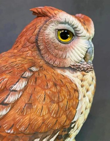 Colorful Eastern Screech Owl Paint By Numbers