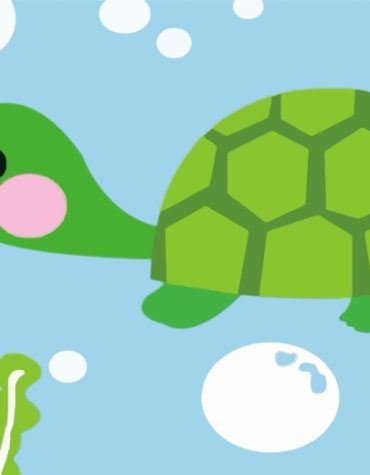 Easy Turtle Animals Paint By Numbers