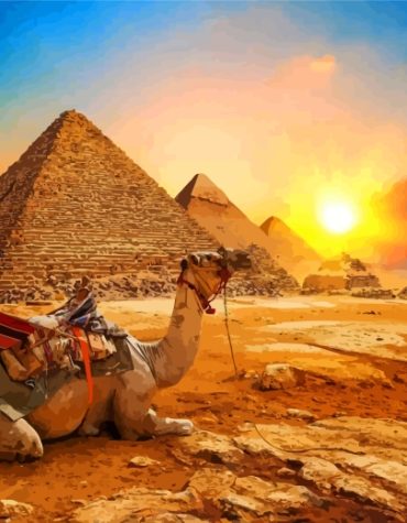 Egyptian Camel Journey Paint By Numbers