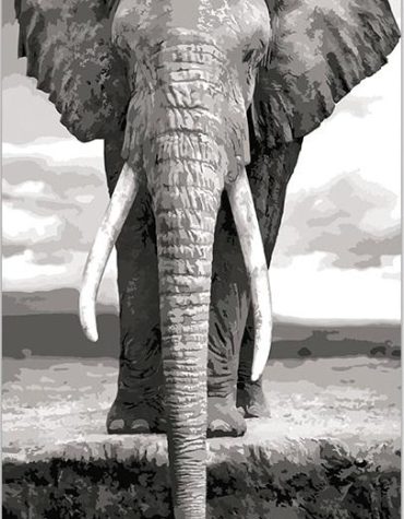 Elephant Monochrome Paint By Numbers