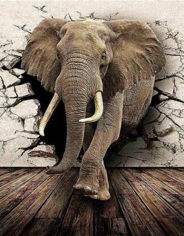 Elephant Wall Painting Paint By Numbers