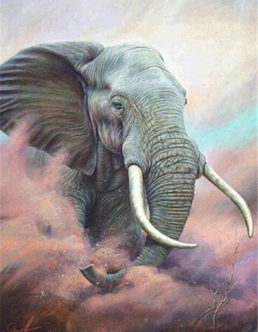 Desert Elephant Journey Paint By Numbers