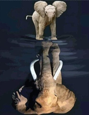 Elephant Reflection Wildlife Paint By Numbers