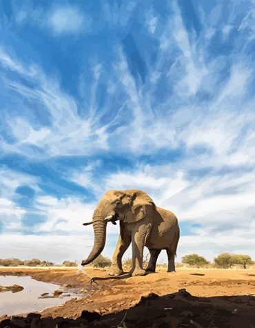 Majestic African Elephant Paint By Numbers