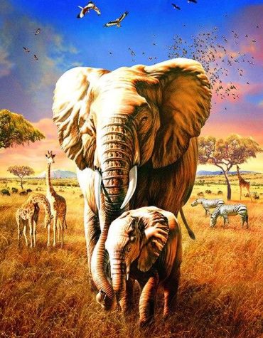 Elephant and Calf Wildlife Paint By Numbers