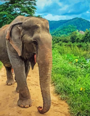 Thailand Elephant Landscapes Paint By Numbers