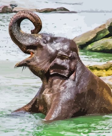 Water Elephant Image Paint By Numbers