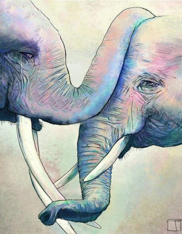 Elephants Greeting Paint By Numbers