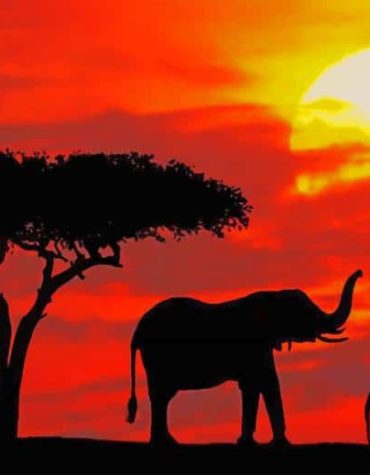 Elephant Silhouette Paint By Numbers
