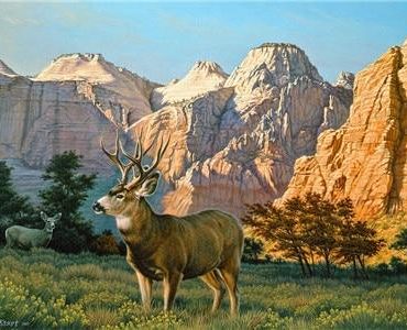 Elk in Nature Paint By Numbers