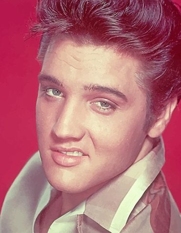 Elvis Presley Smile Masterpiece Paint By Numbers