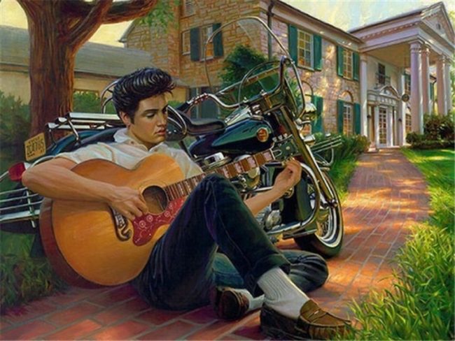 Elvis Presley Graceland Paint By Numbers