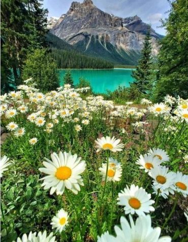 Emerald Lake Nature Scenery Paint By Numbers