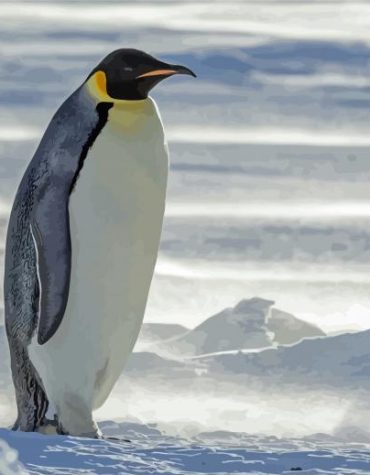 Majestic Emperor Penguin Paint By Numbers