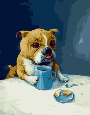 English Bulldog Dog Paint By Numbers