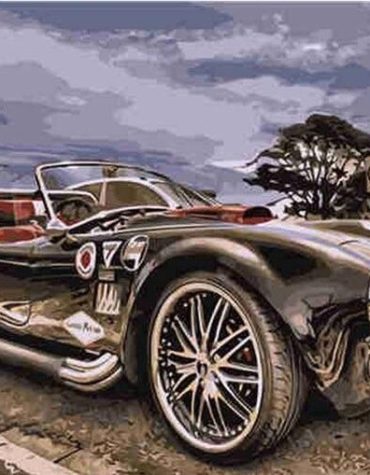 Classic Race Car Paint By Numbers