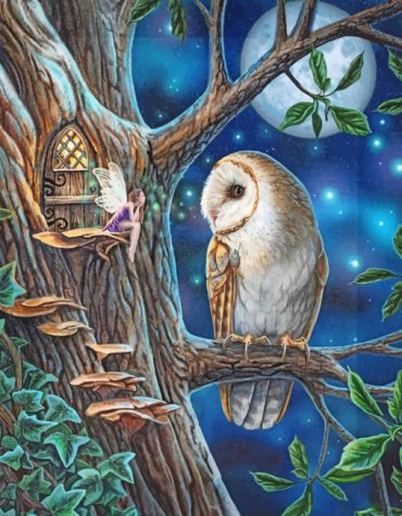 Fairy and Owl Fantasy Paint By Numbers