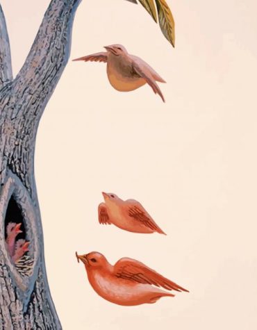 Birds in a Tree Paint By Numbers