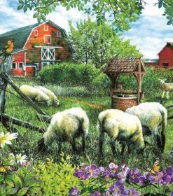 Sheep in Rural Farm Paint By Numbers
