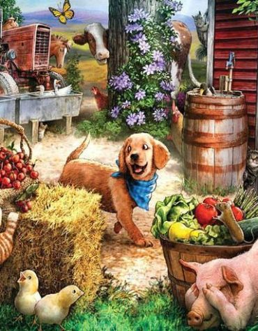 Charming Farm Animals Paint By Numbers