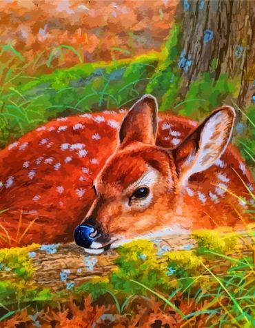 White Tailed Deer Paint By Numbers