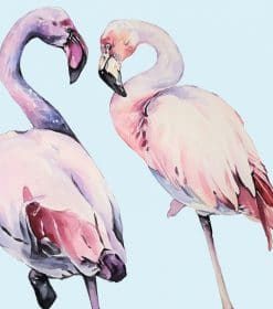Pink Flamingo Birds Paint By Numbers