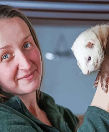 Woman with Ferret Paint By Numbers