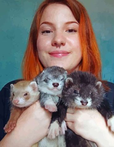 Women with Ferrets Paint By Numbers