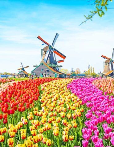 Colorful Tulip Field Paint By Numbers