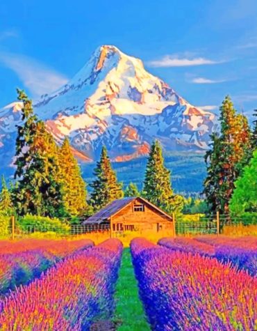Colorful Mountain Scenery Paint By Numbers