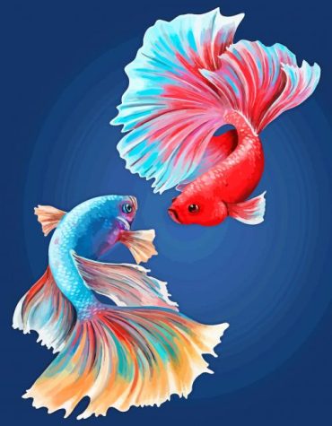Colorful Fighter Fish Paint By Numbers