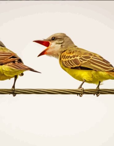 Finches Perched on Wire Paint By Numbers