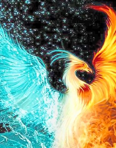 Majestic Phoenix Paint By Numbers