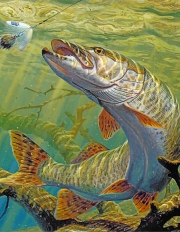 Colorful Fish Underwater Paint By Numbers